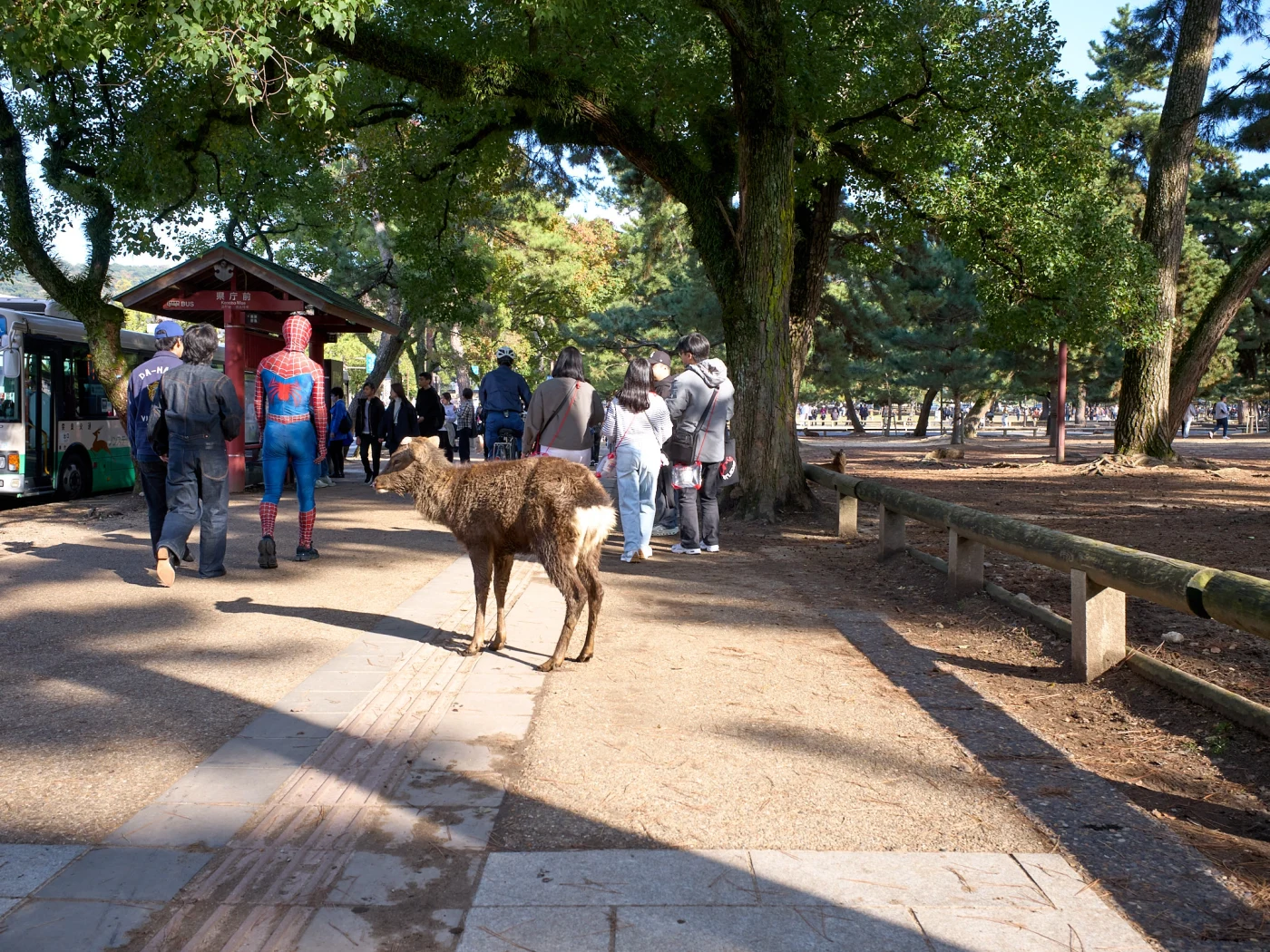 Nara, Japan