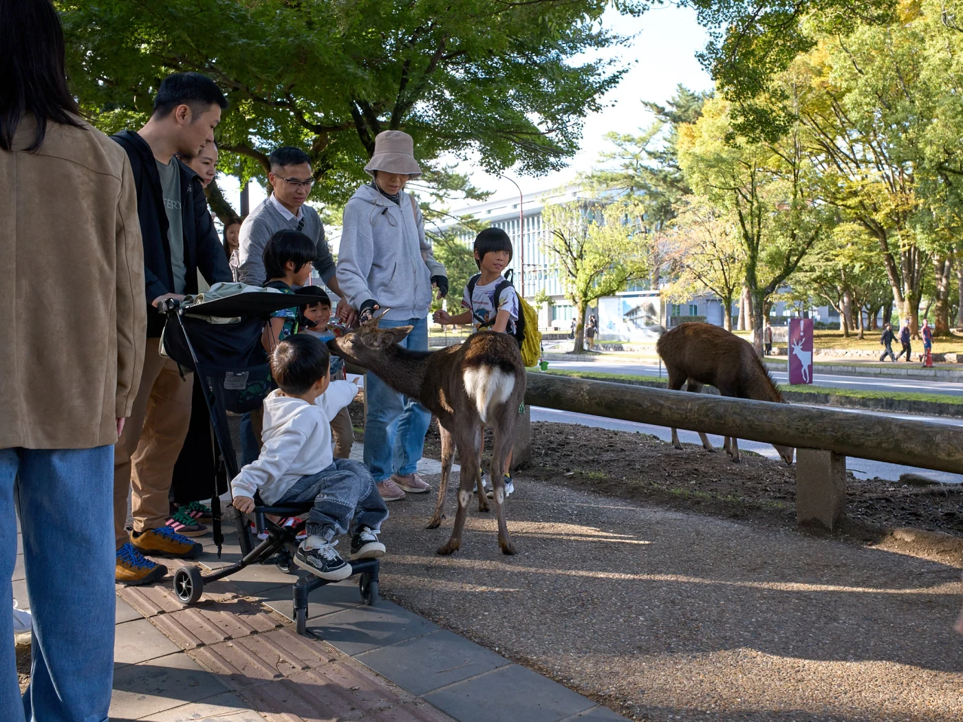 Nara, Japan