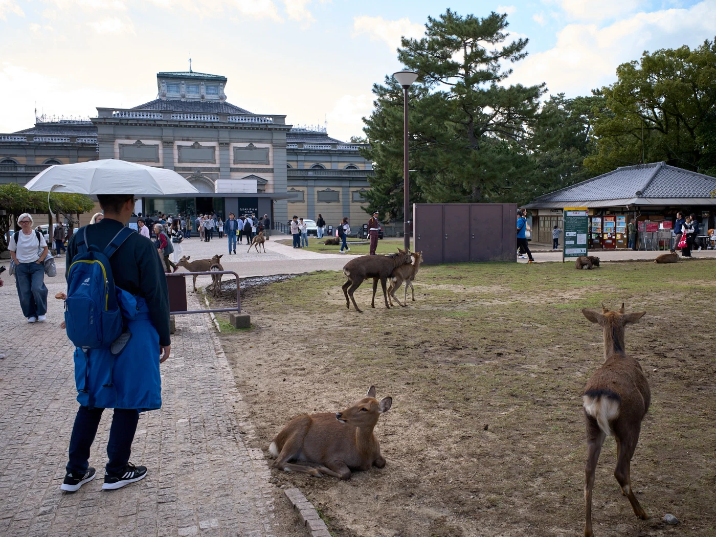 Nara, Japan