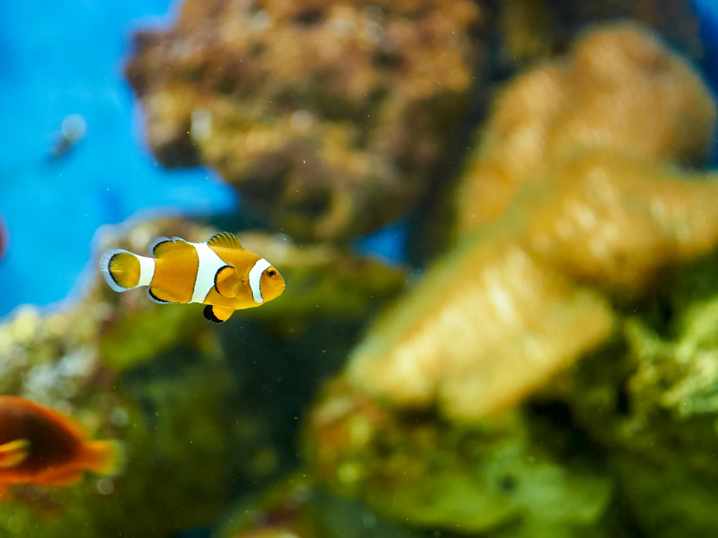 Manila Ocean Park, Philippines