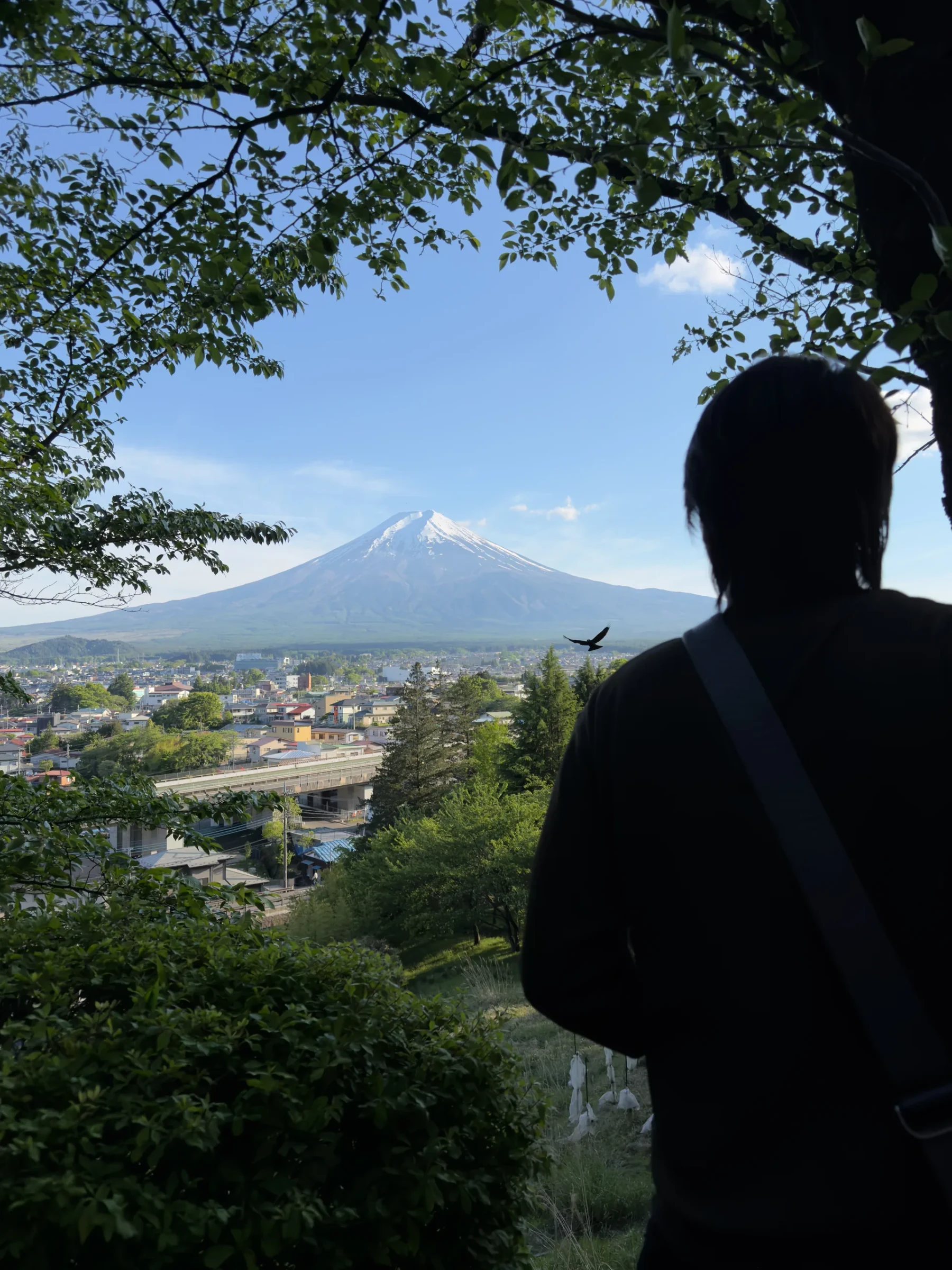 Me looking at Mt. Fuji from Arakurayama Sengen Park.