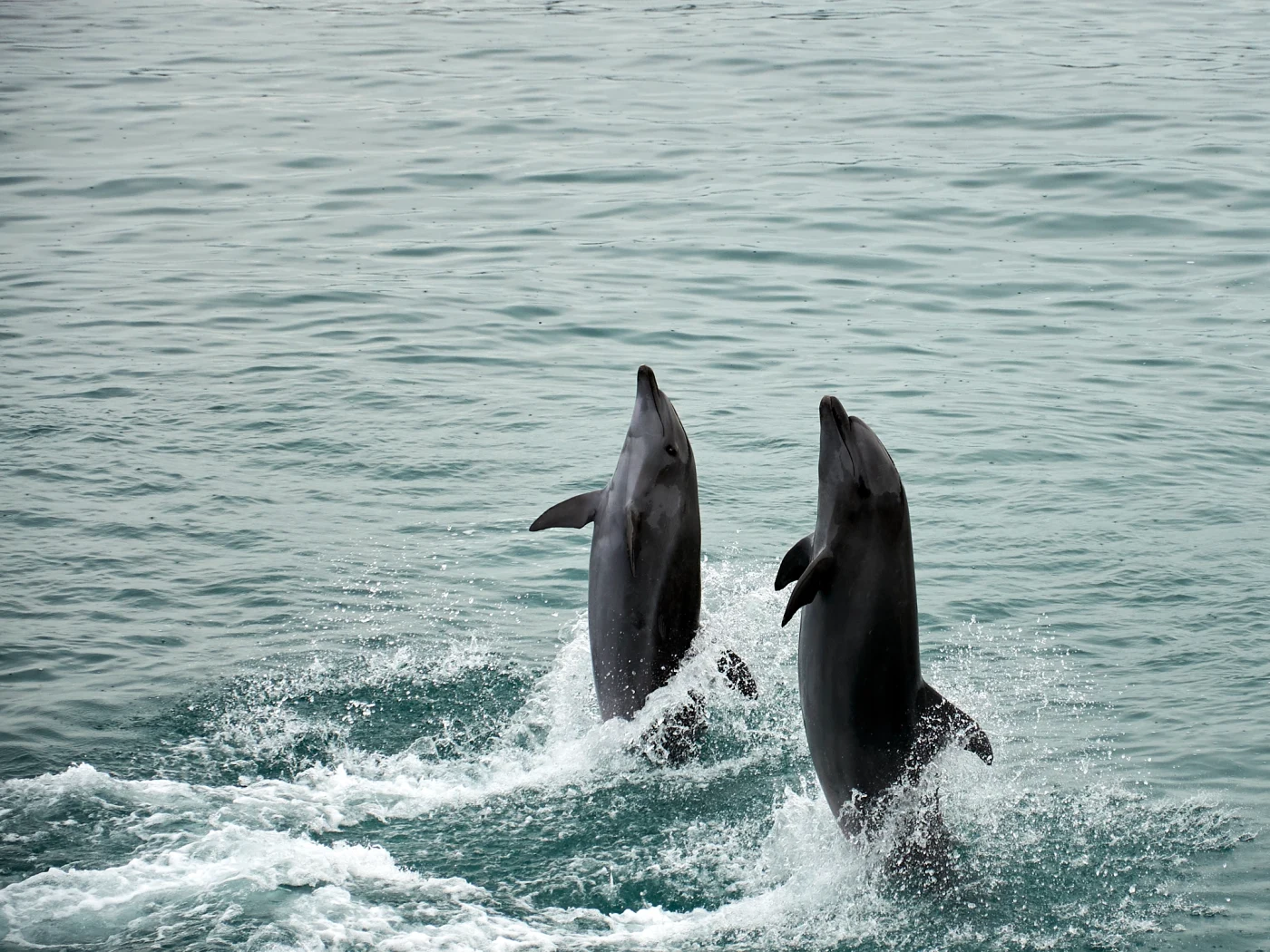 Ocean Adventure, Philippines